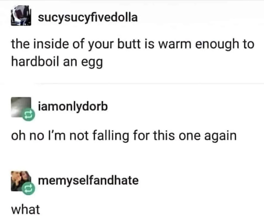 Butt Egg – meme