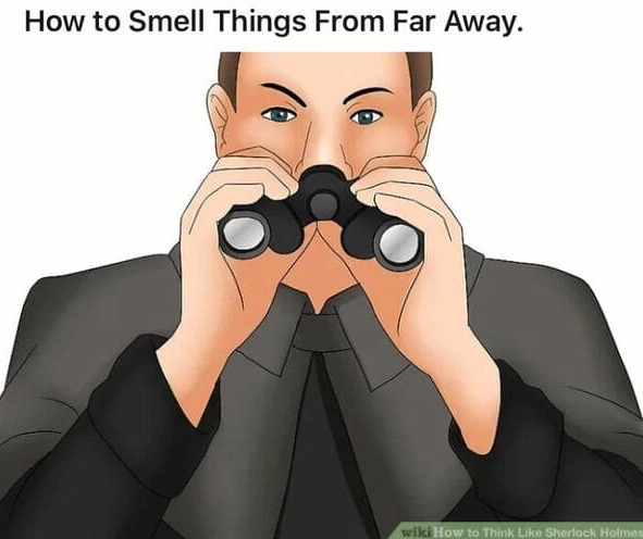 Wikihow artists are goofy – meme