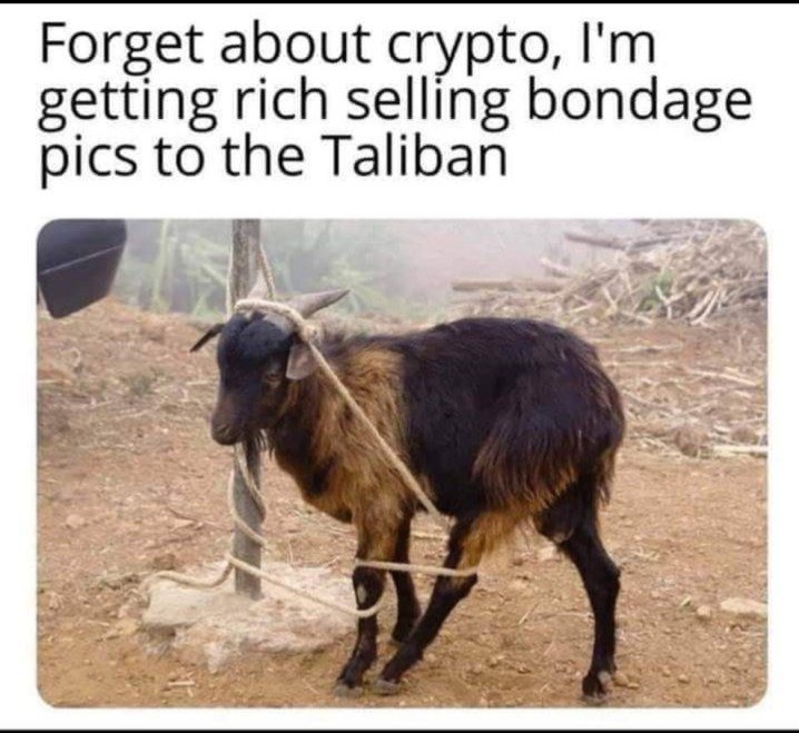 Taliban – meme