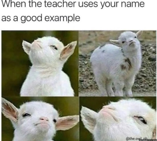 how it feels like when the teacher uses your name – meme