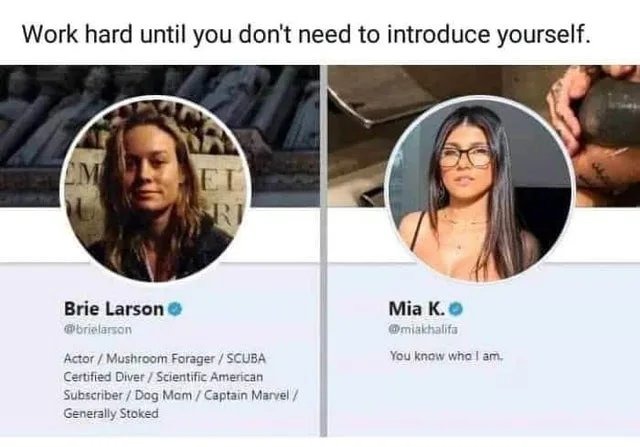 Only fans know who the real Ms.Marvel can be – meme