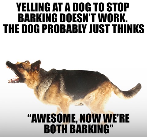 Bork, Bork, Bork! – meme