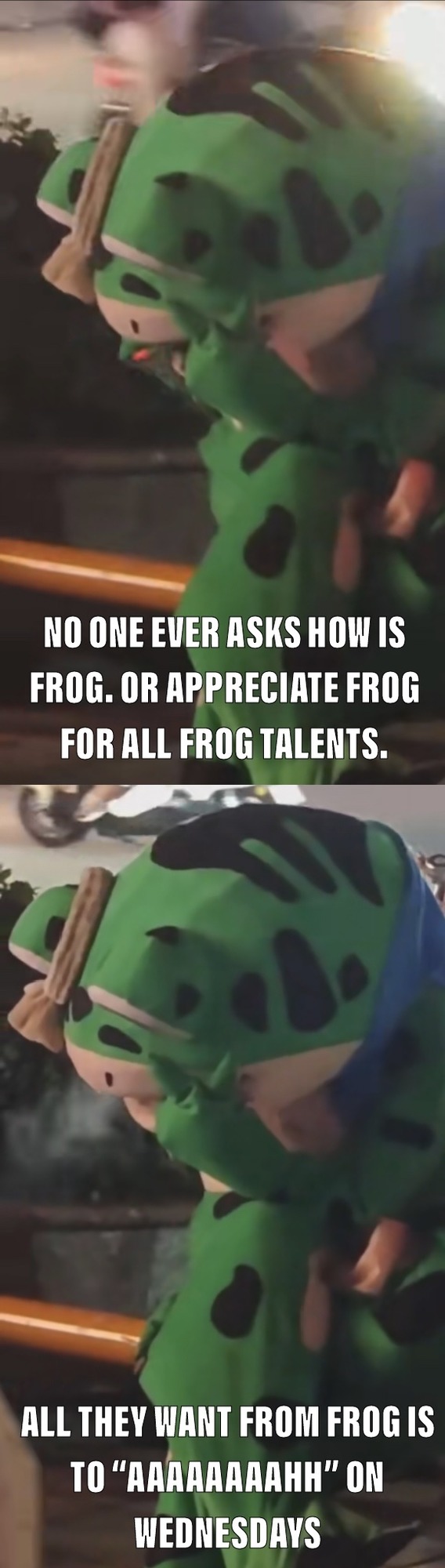 Depressed Frog – meme