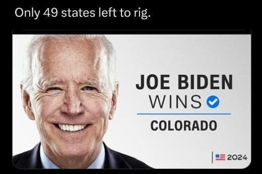 Colorado Supreme Court declares the Presidential winner!!! – meme