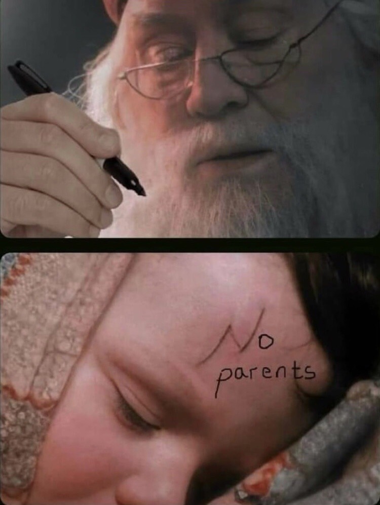 no parents – meme