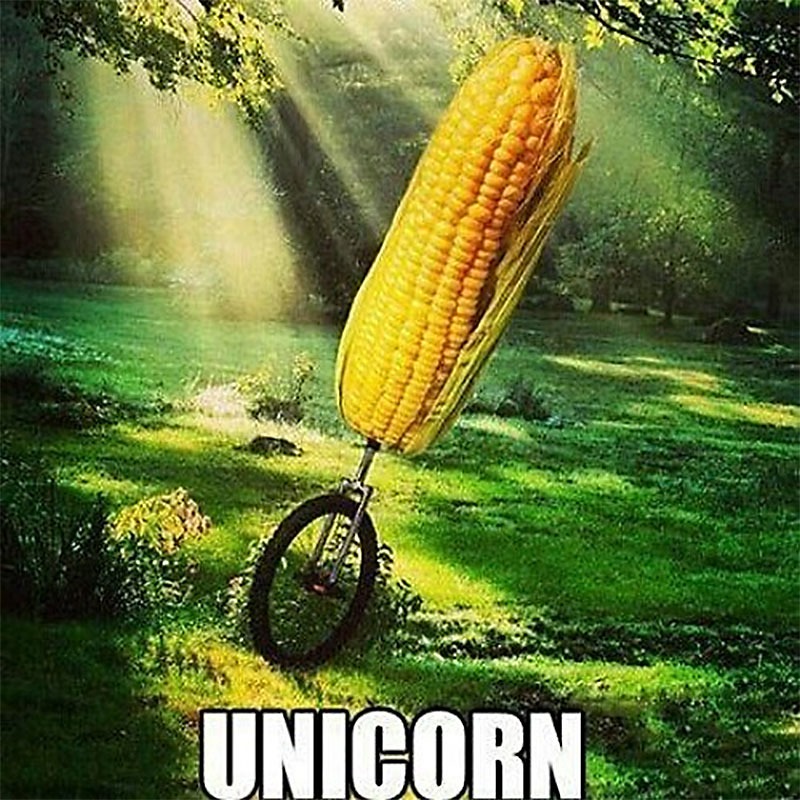 Unicorn – meme