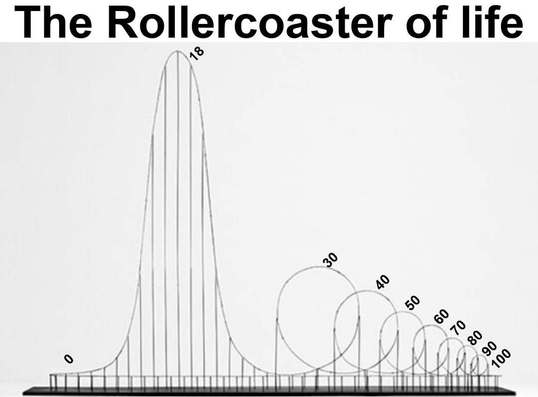 Rollercoaster of Life – meme