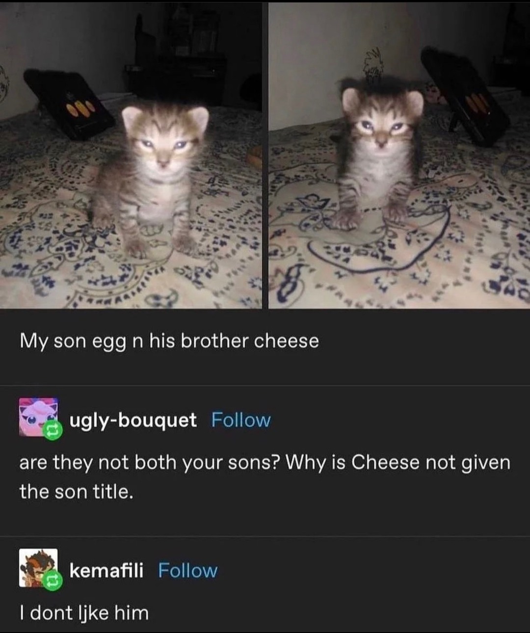 Egg n’ Cheese – meme