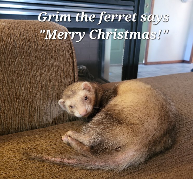 Grim The Ferret – meme