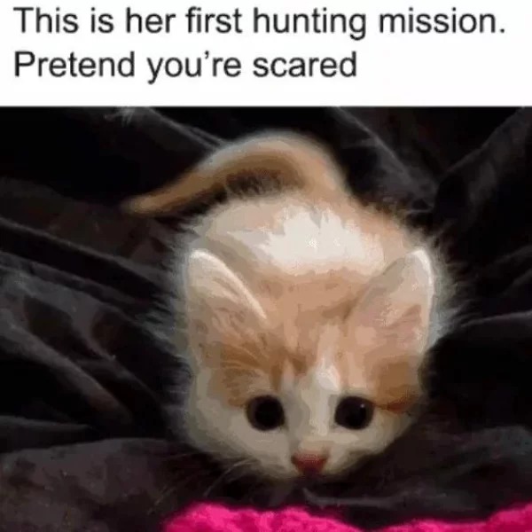 First hunting mission! Pretend you’re scared! – meme