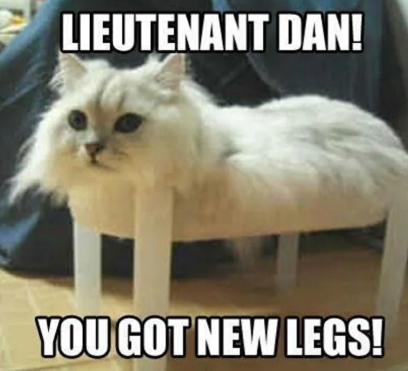 You got new legs!? – meme