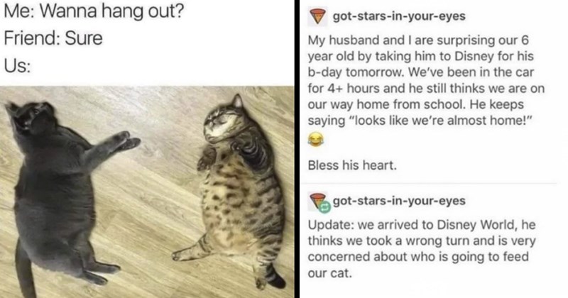 The Best Heartwarmingly Wholesome Memes and Posts of the Week (December 14, 2023)