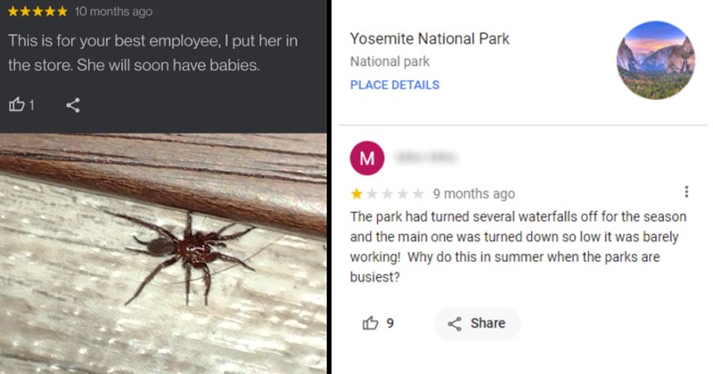 20+ Entertaining Google Reviews That Are as Funny as They Are Informative