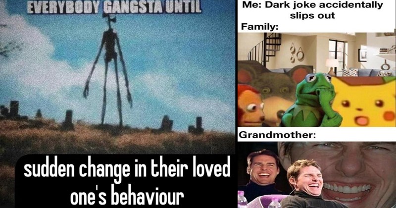 20+ of Meme-maw’s Famous Christmas Cookie Memes That’ll Keep Your Holiday Extra Holly and Jolly