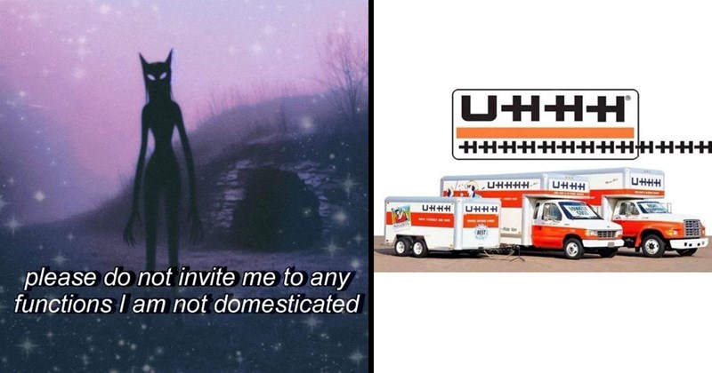 30 Memes That’ll Keep You Up All Night