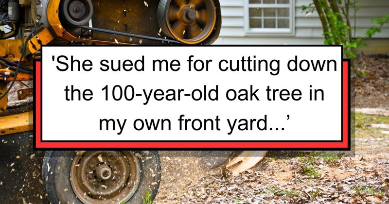 Neighborhood Environmentalist Takes Neighbors to Court After They Cut Down the 100 Year Old White Oak Tree in Their Own Front Yard