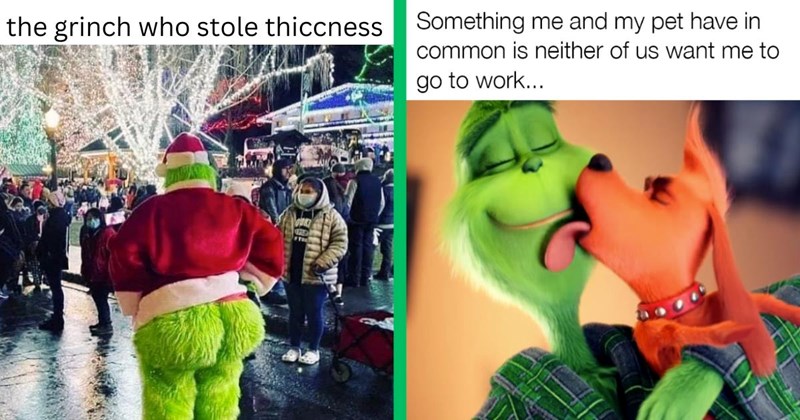 A Stolen Stash of 35 Grinch Memes More Festive Than the Mayor of Whoville