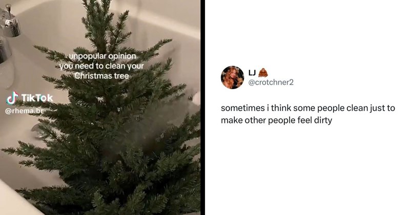 Clean Freak Washes Her Plastic Christmas Tree in the Bathtub, Sparks Debate About Performative Hygiene