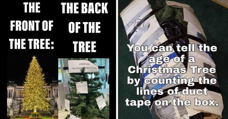 20 Festive Christmas Tree Memes to Deck the Halls With