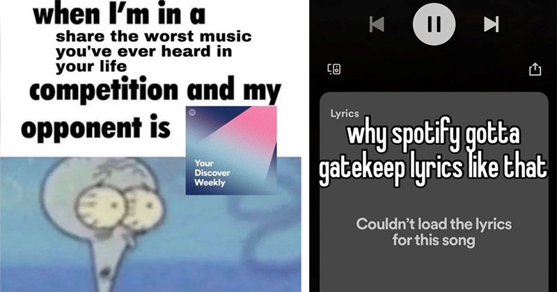 20+ Spotify Memes for Meticulous Playlist Curators