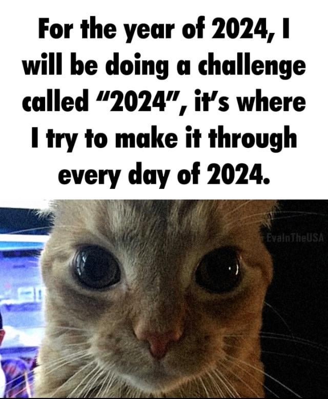 2024 challenge – meme