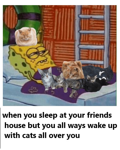 When you go to your friends house – meme