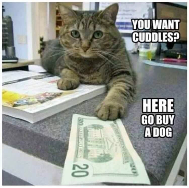 I go buy dog now :) – meme