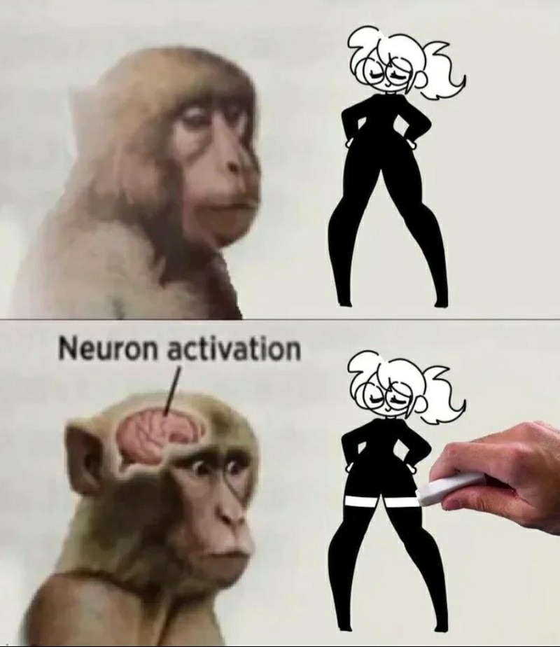 Reptilian brain gets no serotonin – meme