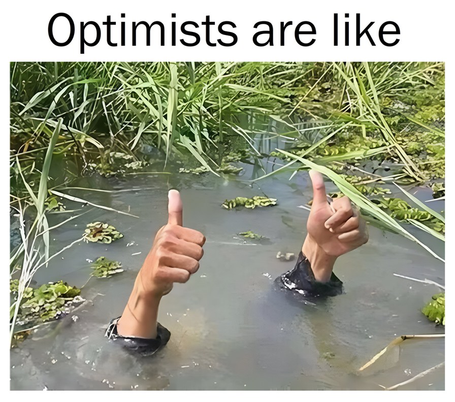 Optimists are like – meme