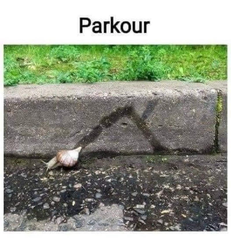 Hard-core parkour – meme