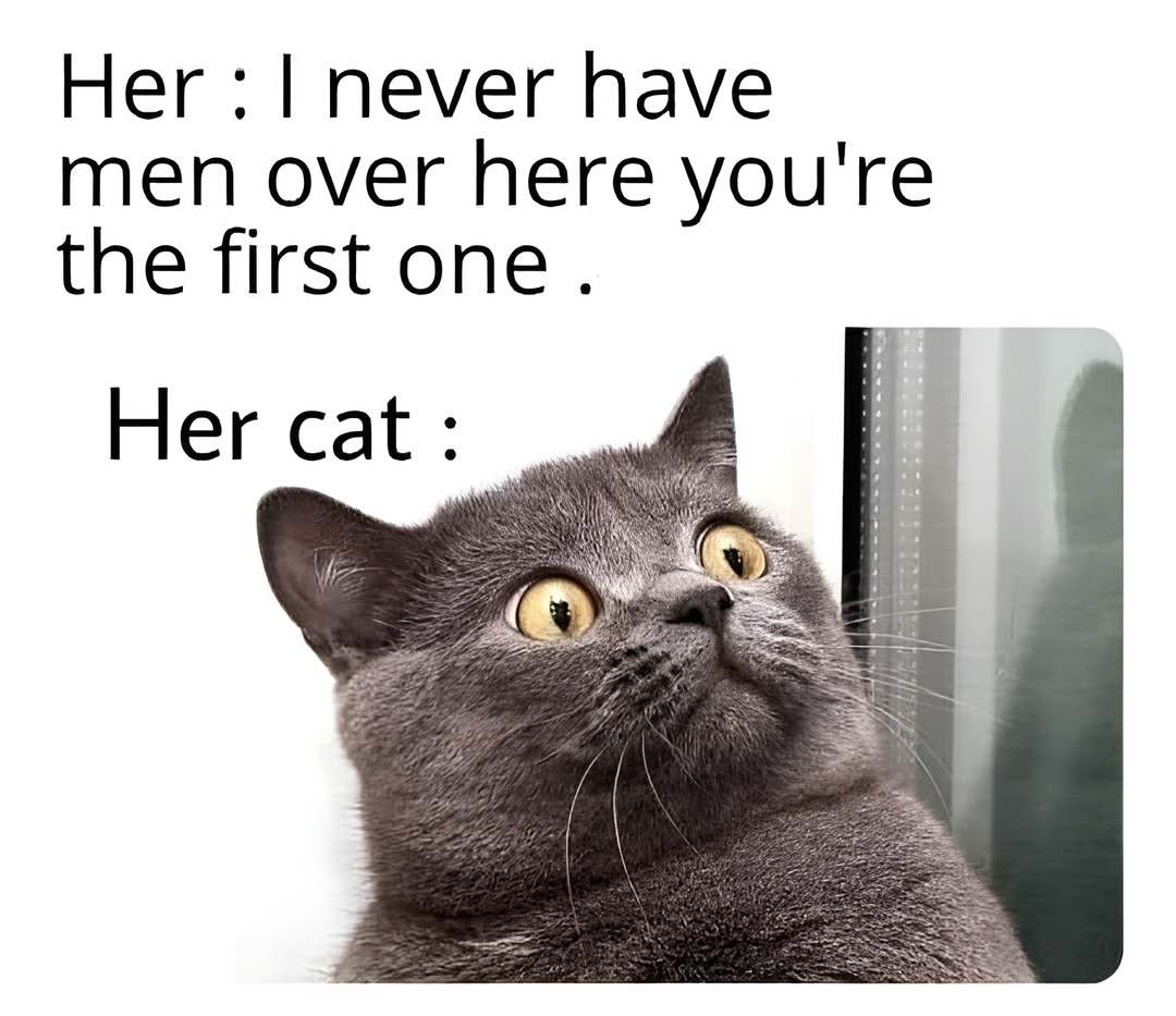 She says you are the first man she brings in but the cat is shocked – meme