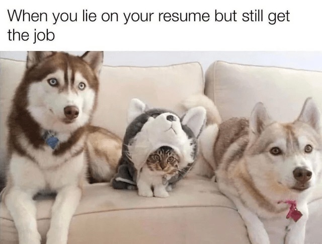 Cat+Dog=Dat Cog – meme