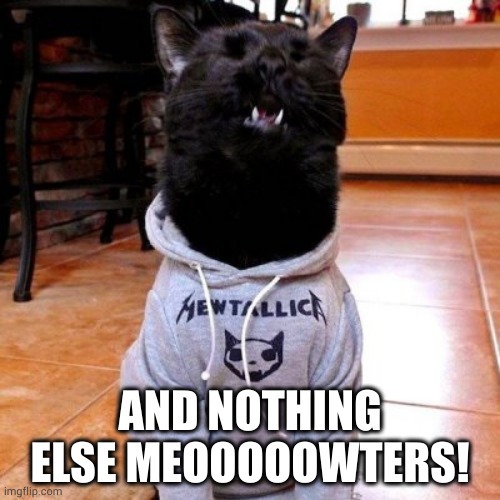 Metalicat – meme