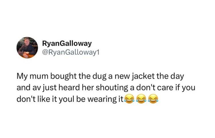 jacket for Scottish doggo – meme