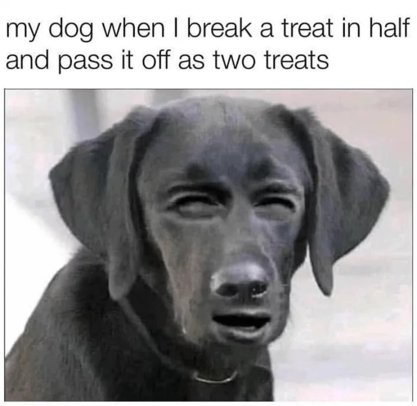 My dog be like – meme