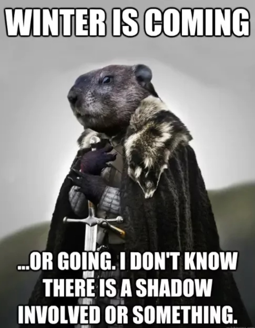 Groundhog Day is stupid but fun – meme