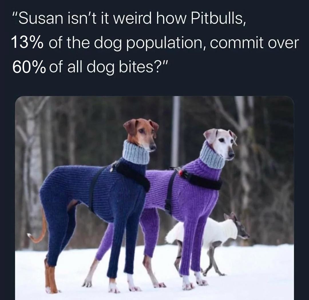 Pitbulls – meme