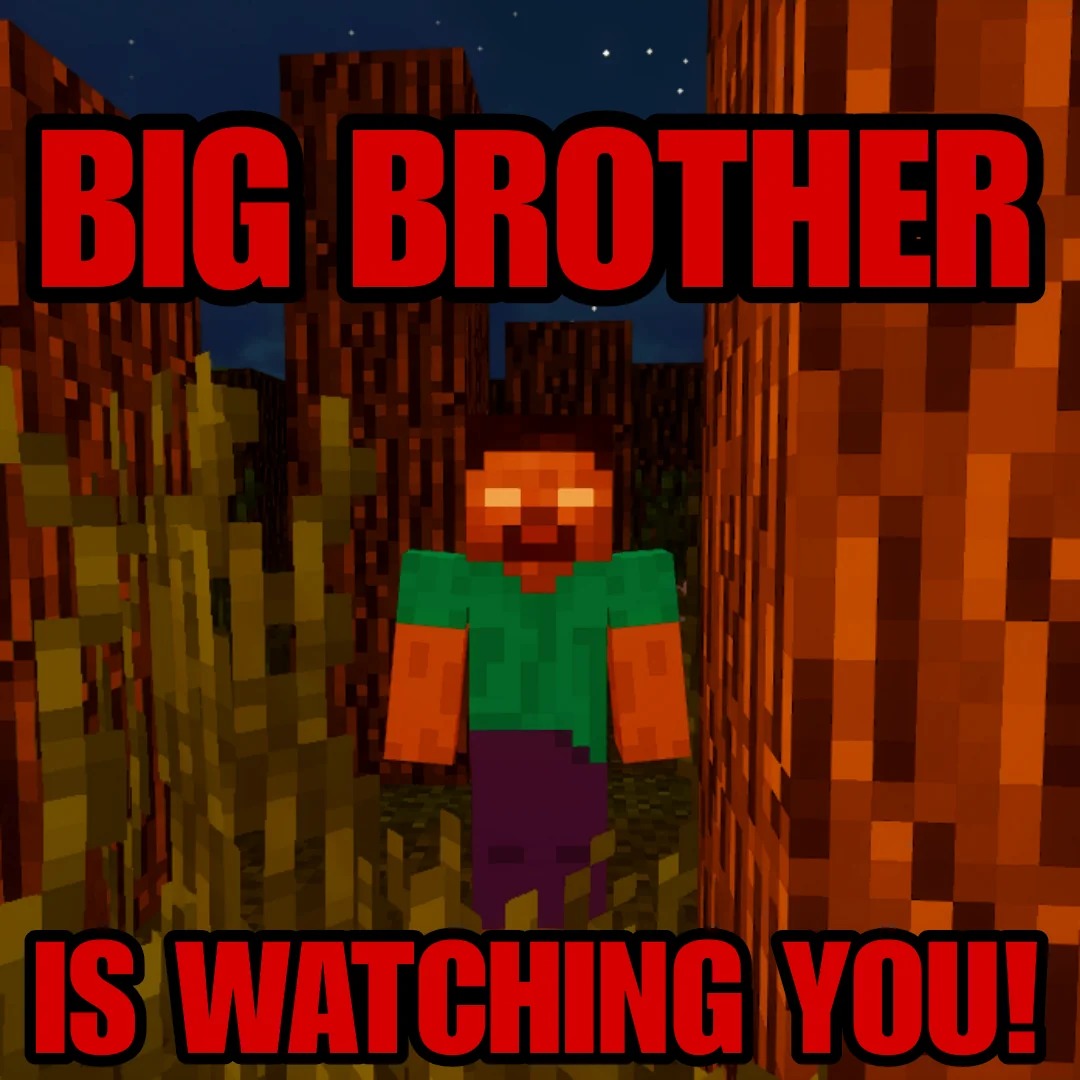 Big brother is watching you – meme