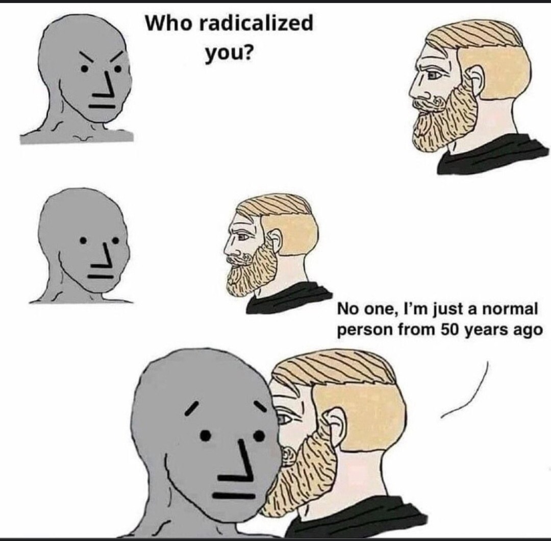 Radicalized – meme