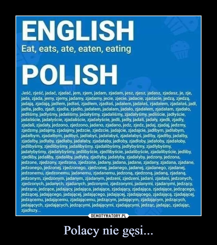 Polish language – meme