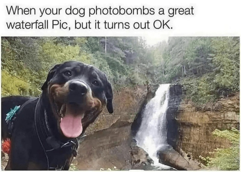 The waterfall photobombed it – meme