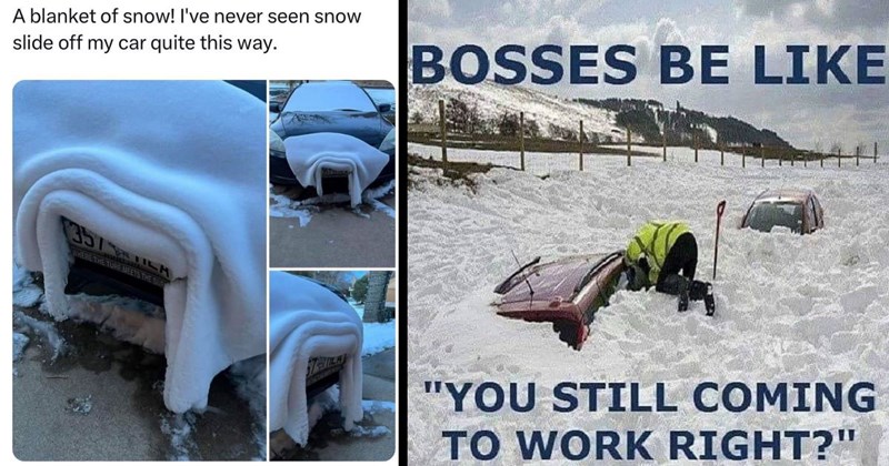 20+ Snow Memes For Everyone Longing For a Snow Day