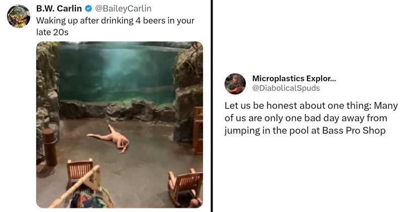 ‘I’d hate to see what goes on at Bass Amateur Shops’: Alabama man skinny dips in Bass Pro Shops fish tank, becomes first viral celebrity of 2024