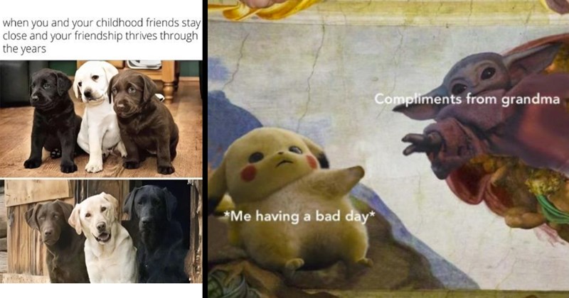 The Best Heartwarmingly Wholesome Memes and Posts of the Week (January 25, 2024)