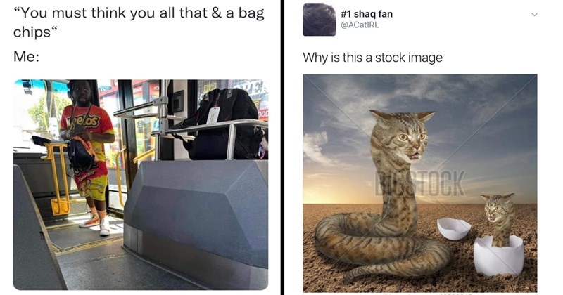 33 Memes That Are Ol’ Reliable