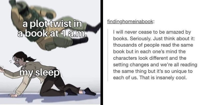 30+ Bookworm Memes For Readers Who Can’t Put Their Books Down