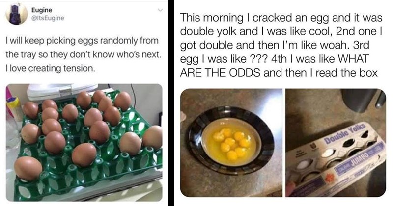 20+ Egg Memes That Are Just Yolkin’ Around