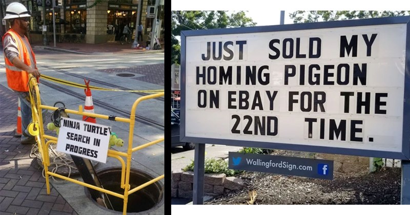 30 Hilariously Absurd Signs Found in the Wild