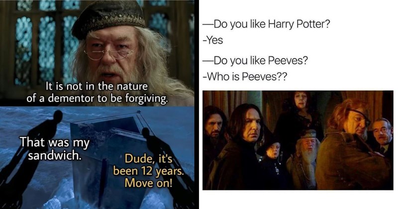 25+ of the Best Harry Potter Memes of the Week (January 17, 2024)