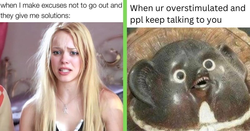 31 Introvert Memes for Grateful Loners Happy to Stay in Their Lane (January 12, 2024)